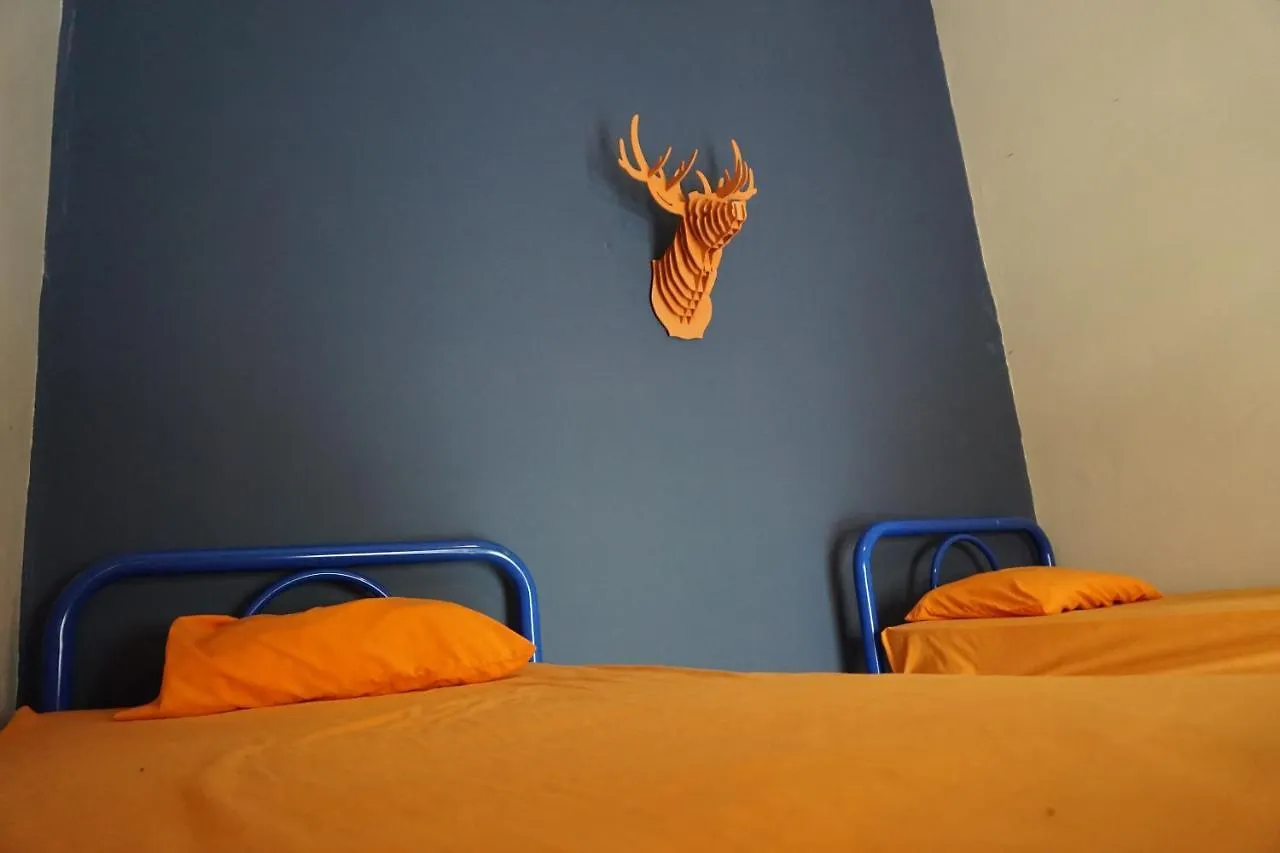Blue Pepper Hostel Chapultepec Guadalajara