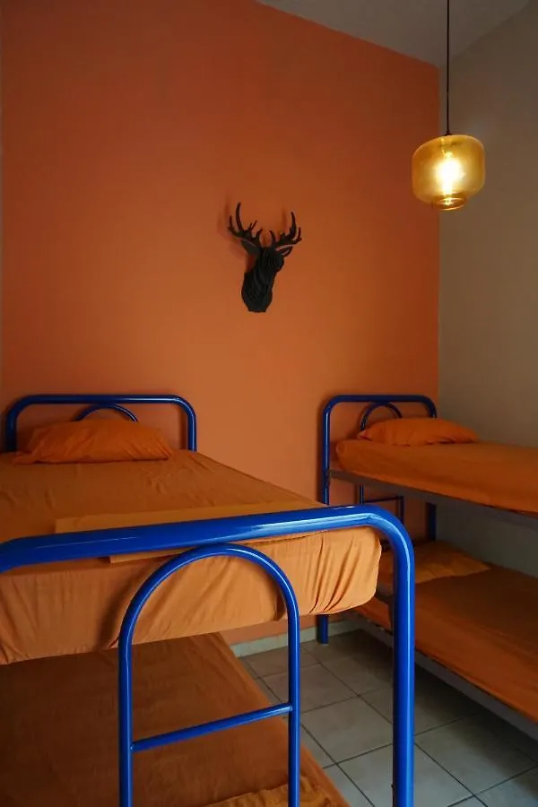 Blue Pepper Hostel Chapultepec Guadalajara