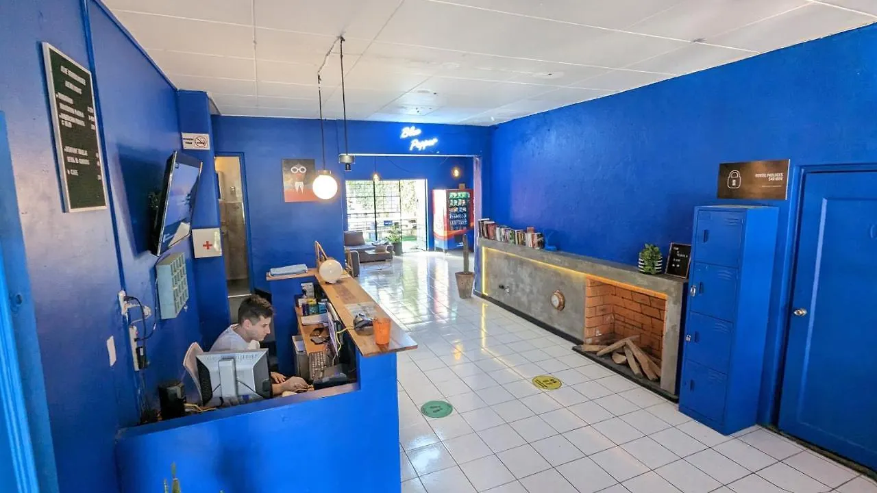 Blue Pepper Hostel Chapultepec Guadalajara 0*,