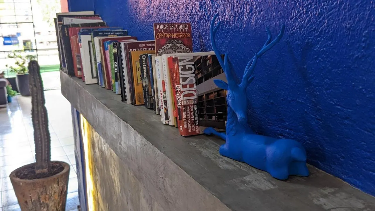 Blue Pepper Hostel Chapultepec Guadalajara