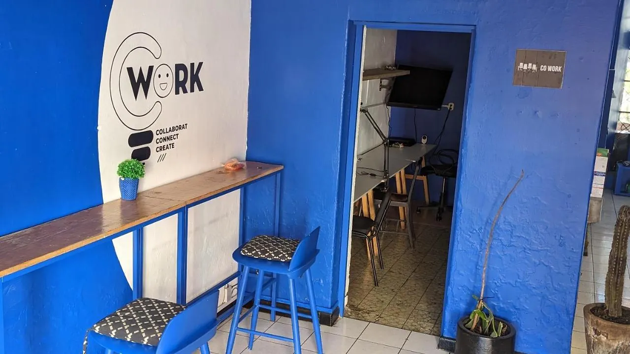 Blue Pepper Hostel Chapultepec Guadalajara Mexico