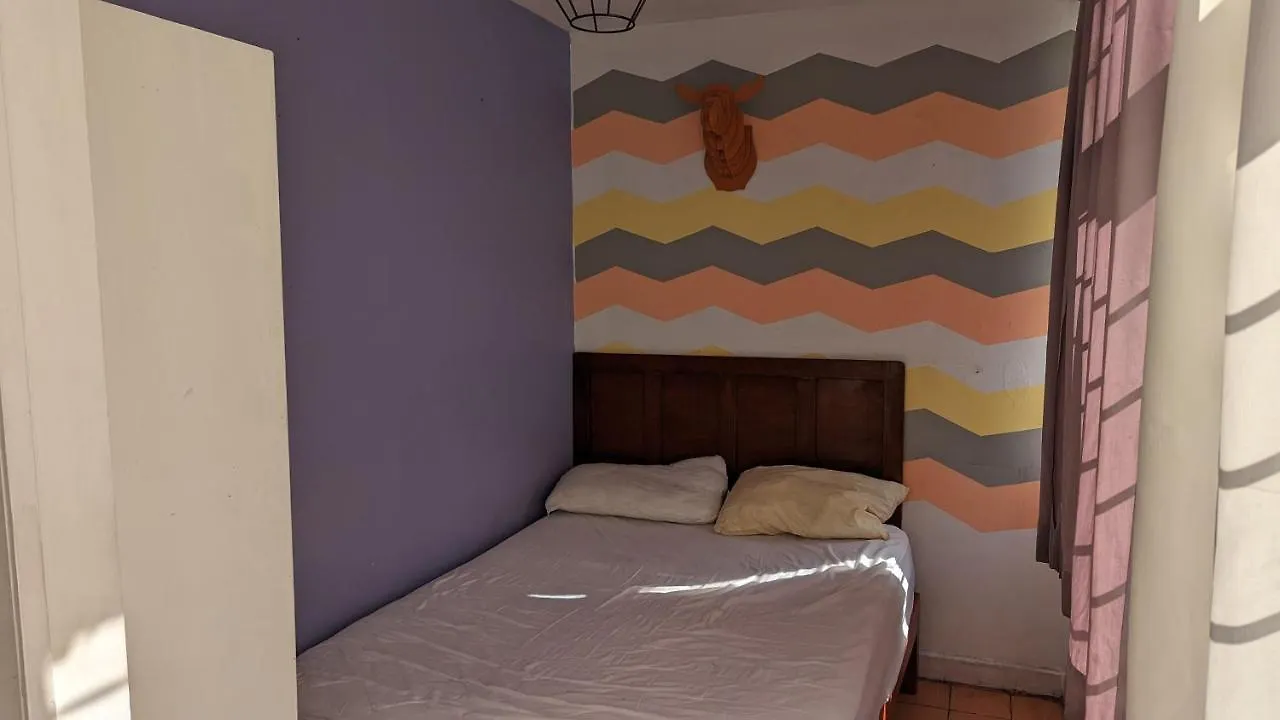 Blue Pepper Hostel Chapultepec Guadalajara