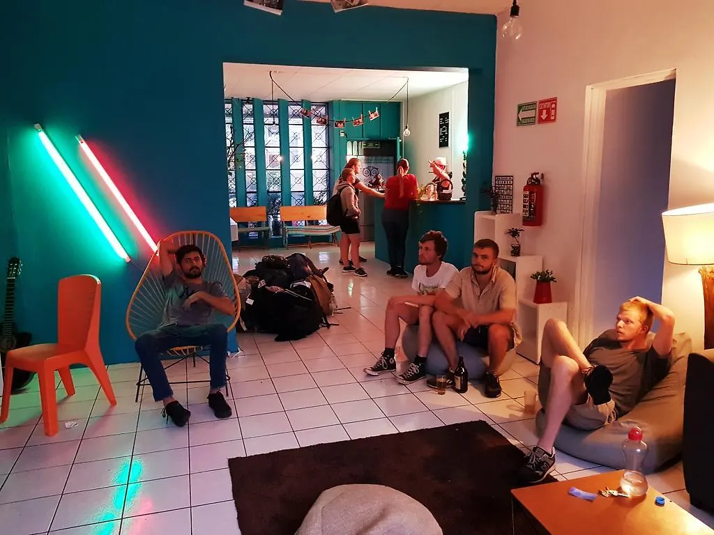 Blue Pepper Hostel Chapultepec Guadalajara