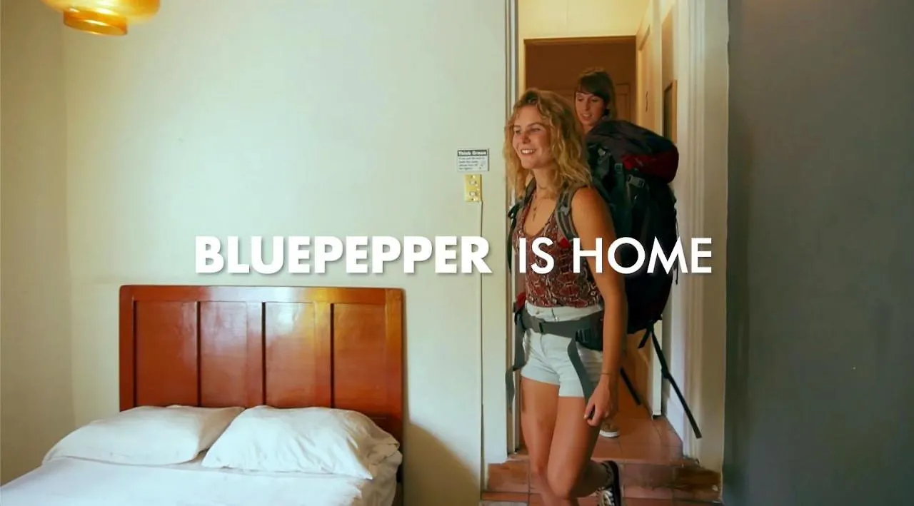 Blue Pepper Hostel Chapultepec Guadalajara Mexico