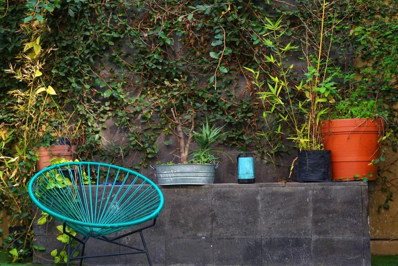 Blue Pepper Hostel Chapultepec Guadalajara 0*,  Mexico