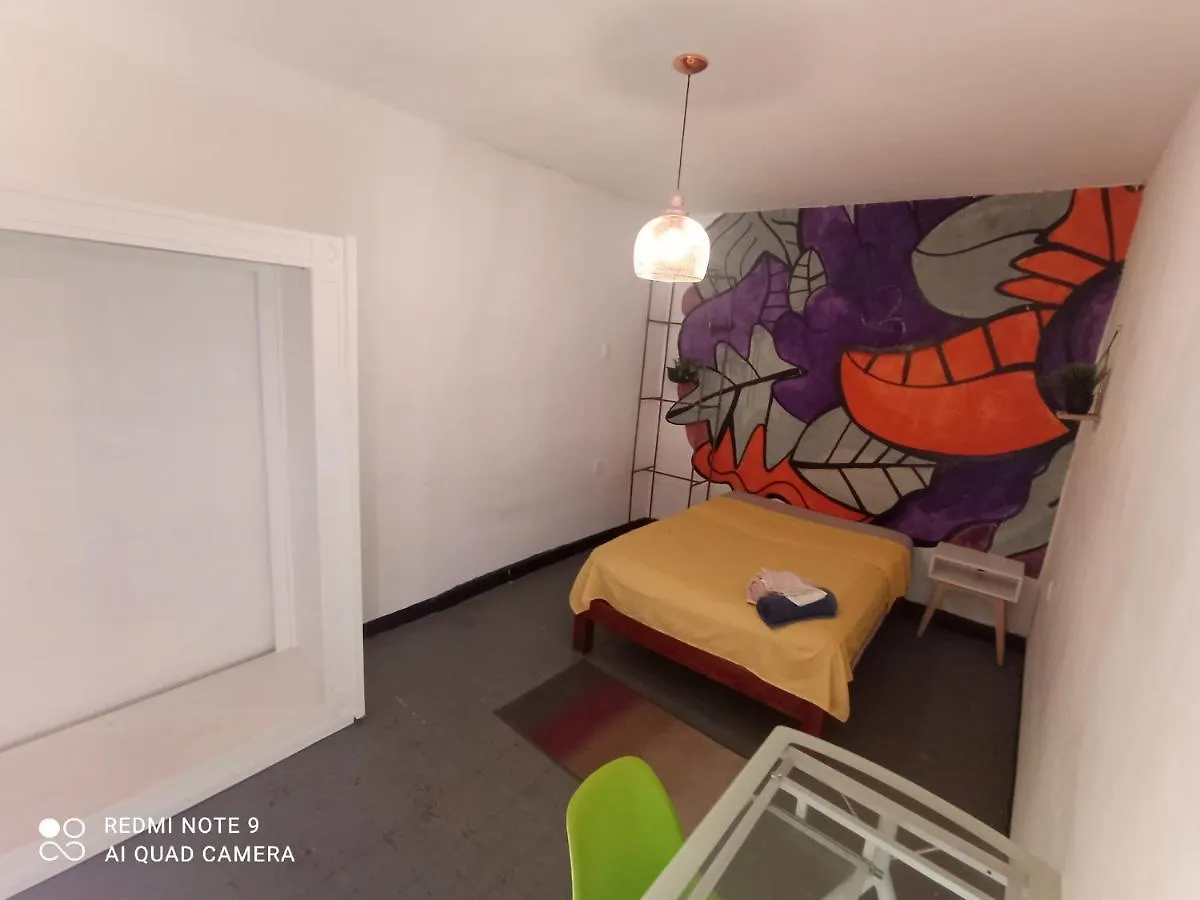 Blue Pepper Hostel Chapultepec Guadalajara