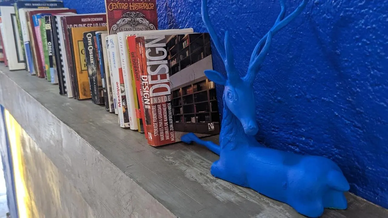 Blue Pepper Hostel Chapultepec Guadalajara