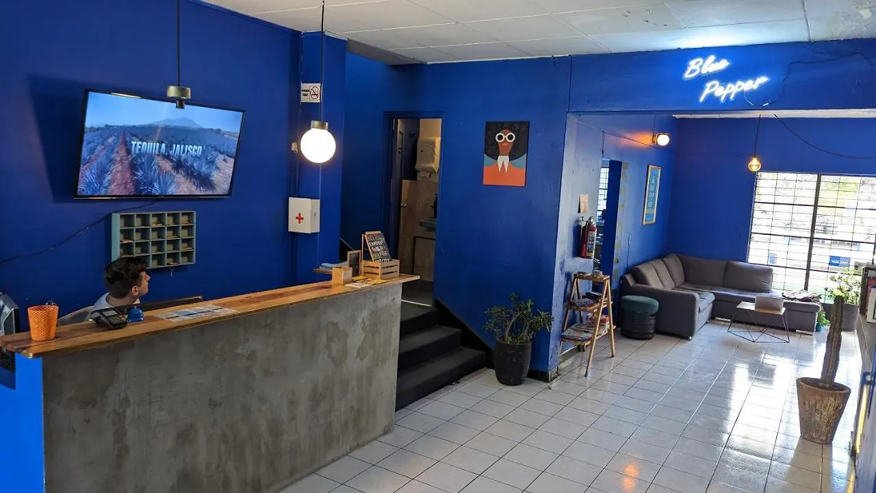 Blue Pepper Hostel Chapultepec Guadalajara Mexico