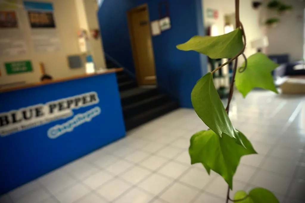 Blue Pepper Hostel Chapultepec Guadalajara